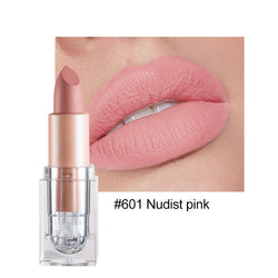 HANDAIYAN Nude Velvet Lip Stic  handaiyan M34801  